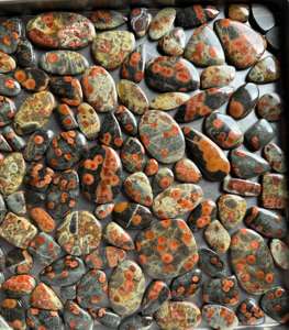 หินจัสเปอร์พลอยหลายเม็ดสำหรับทำเครื่องประดับอัญมณีสีเขียวทรงหลังเบี้ยทรงถั่วสีน้ำตาลเกรด AAA - Product Image 2