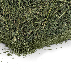 Nouveau foin de luzerne prêt à l'approvisionnement Foin de luzerne à haute teneur en protéines pour l'alimentation animale Prix bon marché - Product Image 6