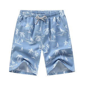 Shorts pour hommes de qualité supérieure, pour l'été et usage décontracté, en vente en ligne, services OEM disponibles, shorts décontractés pour hommes au prix le plus bas - Product Image 1