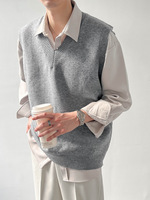 Herren Casual Koreanischer Stil Dünner Atmungsaktiver Knitterfreier Gestrickter Polyester/Baumwoll-Pullover Herbst Winter V-Ausschnitt Vorderseite