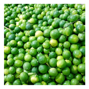 Las frutas de alta calidad 100% Fresh Lime ofrecen beneficios de cítricos de calidad superior Fresh Lime Tropical Fruit para bebidas de desintoxicación/uso de exportación - Product Image 5