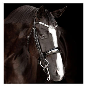 Lumiere-brida de cuero para caballo ecuestre Amie, de lujo, de proveedor indio - Product Image 4