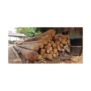 Troncos de ciprés Madera redonda Tipos de teca y acacia Carga a granel Fabricantes de leña Mejor precio Madera de pino seca 100% - Product Image 3