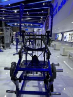 Service OEM Équipement de Gym Commercial ROSEN Fitness Q235 Machine à charge de poids en acier Équipement d'entraînement Squat à la ceinture pour la salle de sport