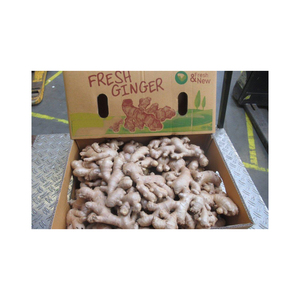 Racine de gingembre frais en ligne pour les smoothies et autres délices culinaires - Product Image 6