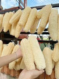 HOT Eco Friendly Luffa Body Cleaning Accessories - Natural Loofah Back Scrubber | <b>Bath</b> <b>Sponge</b> | Exfoliating Pad - Product Image 4