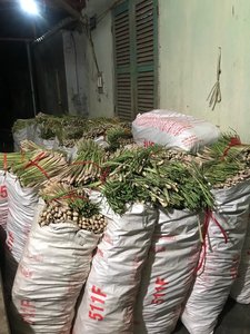 Lemongrass seco de alta calidad precio barato al por mayor de proveedores vietnamitas - Product Image 6