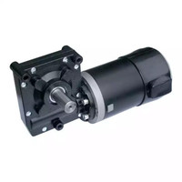 Moteur sans balais à engrenages à vis sans fin multifonctionnel 12-24V DC pour vélo électrique, appareils électroménagers, utilisation marine, haute efficacité IE4, prix bas