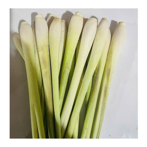 Racine de citronnelle congelée de qualité supérieure et citronnelle congelée tranchée pour aromatiser le curry - Product Image 2