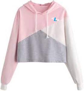 Haut de sport coupe-vent pour femme 2025, sweat à capuche long, vêtement de rue, imprimé, uni, design occidental, fabrication - Product Image 1