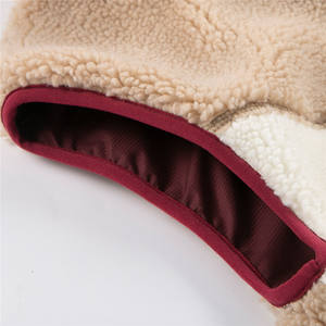 Sweat à capuche en polaire unisexe pour l'extérieur, chaud et thermique pour la randonnée, le camping, personnalisable OEM ODM en gros, uni, 100% polyester - Product Image 6