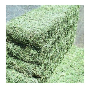 Foin de luzerne en vrac-Aliments pour animaux-20kg/40kg/50kg balles - Product Image 3