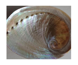 Top-Rated <b>Abalone</b> <b>Shell</b> Gemstones for Festive Vibes <b>Abalone</b> <b>Shell</b> Crystals - A Touch of Oceanic Elegance - Product Image 4