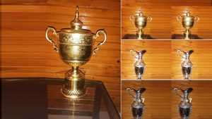 Stainless Steel Sports <b>Trophy</b> <b>Cup</b> Customized Achievement Award Display Durable Premium Quality - Product Image 6