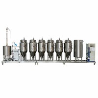Cuve de Fermentation de Bière en Acier Inoxydable 100L, Équipement de Brasserie