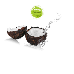 L'art de préserver la saveur de la noix de coco dans l'agriculture Techniques avancées pour la production de noix de coco séchée - Product Image 5