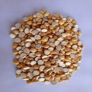 Applications culinaires Pigeon Pea Split avec protéines végétaliennes disponibles à des prix abordables - Product Image 1