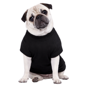 Black <b>Dog</b> T Shirt Solid Color Cotton Pet Tee Breathable Comfortable Everyday <b>Dog</b> Clothing for <b>Small</b> Medium Pets - Product Image 1