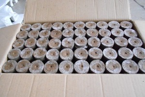 BLUE LOTUS Coconut <b>Coir</b> Pith Compressed Pellet High Quality Organic Soil Conditioner Biodegradable Eco-Friendly Farming Garden - Product Image 6