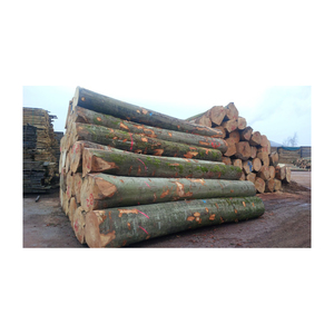 Clip de fermeture de sac en bois massif de style rétro façonné 15. 	   Assiettes à snack en bois massif japonais, restaurant créatif, bois de hêtre - Product Image 6