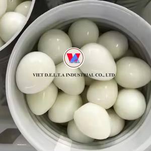 Proveedor Confiable de Huevos de Codorniz en Vietnam |   Tamaño Estándar |   Pedidos al por Mayor y OEM - Product Image 1
