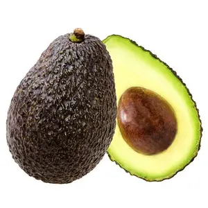 FRISCHE AVOCADOS/GEFRORENE/GEFRORENE PULP AVOCADOS DER BESTE PREIS MIT HOHER QUALITÄT