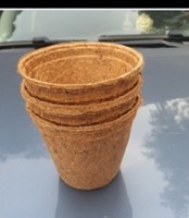 POT EN FIBRE DE NOIX DE COCO/Pot en fibre de coco biodégradable Pot en fibre de coco/Pot en fibre de coco 100% respectueux de l'environnement