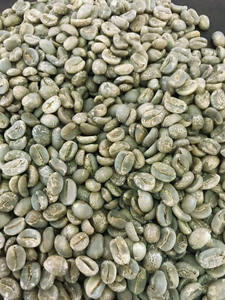 Café vert Robusta de spécialité vietnamienne, taille 18, marque TNFOOD, qualité G1/G2, 1000 kg, export en vrac, fournisseur en gros - Product Image 3