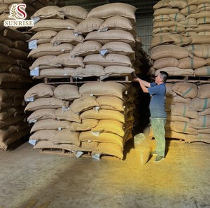 [FREE SAMPLE] Vietnam Robusta Green Coffee Bean-0084 902 431 106-Juli-GMO-Strong Flavor - Product Image 6