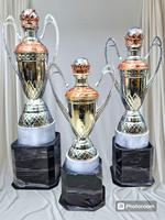 2025 HOT SELLING Trophy Cup Custom Award Silver Cup Medal Awards Trophée de luxe Fabrication de médailles et de trophées