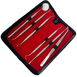 RAICES Enterprises Stainless Steel Dental Cleaning Kit Mirror Tweezers Scaler <b>Probe</b> Premium Grad Surgical Instruments CE - Product Image 2