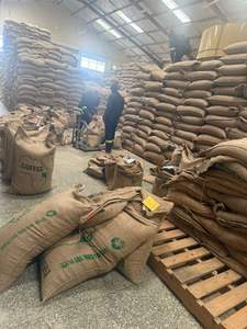 Café en Grains Torréfiés Arabica Robusta Italien Entier Biologique Séché 1kg Sac en Jute en Gros - Product Image 6