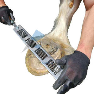 Râpe cheval sabot fichier professionnel maréchal-ferrant outil coupe façonnage sabots fines moyennes coupes agressives râpe en acier pour chevaux poneys - Product Image 5