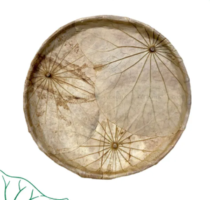 Bandeja de almacenamiento de hojas de loto ecológica hecha a mano, organizador natural de Vietnam - Product Image 2