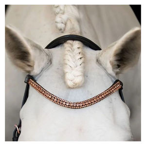 All Purpose Custom Made Imported Quality Horse Leather Bridle Smart Lumiere <b>Equestrian</b> Aria Anatomic Leather Bridle - Product Image 5