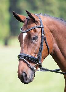 Brida diamante doma - Product Image 4