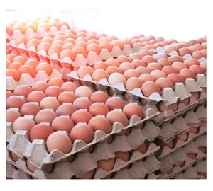 โต๊ะไข่ไก่อัดแน่นด้วยความระมัดระวังและความสดใหม่ - Product Image 5