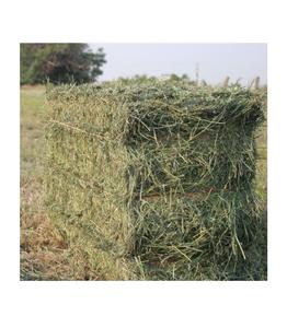 Aliments à haute teneur en protéines pour foin de luzerne Timothy de haute qualité pour animaux pour bovins porcs chevaux aliments pour animaux de compagnie emballés en balles - Product Image 6