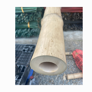 Poste/bastón de bambú fumigado, tamaño personalizado, poste de bambú grande de limpieza en seco natural puro para la construcción - Product Image 5