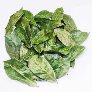 Vente En Gros De Feuilles De Corossol Séchées Graviola Organique Fournisseur - Product Image 5
