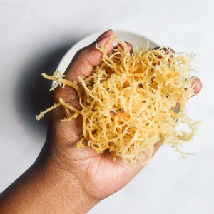 El mejor vendedor orgánico sazonado congelado Seamoss alta calidad exportación a granel variedad Laver estilo seco en bolsa de embalaje - Product Image 1