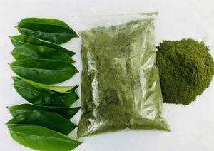 Poudre de feuilles de corossol en gros: la meilleure qualité du Vietnam - Product Image 6
