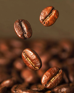 กาแฟคั่วสำหรับขายส่ง คุณภาพคงที่ ราคาแข่งขัน - Product Image 6