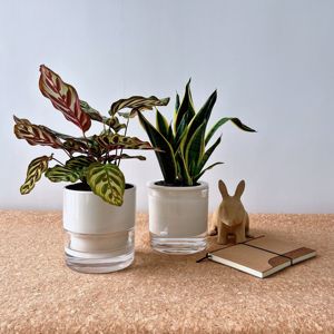 Spiderman Gift Bundle MTG: 5 Unique Themed Gifts for Fans