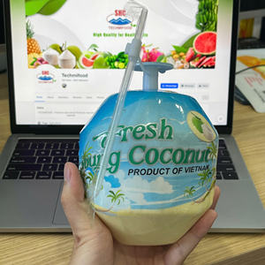 Coco Fresco Joven de Primera Calidad, con Cáscara Entera, Forma de Diamante, Piel Verde, 70-90 Días de Vida Útil, Calidad de Exportación Ben Tre - Product Image 6