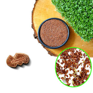 เครส | สมุนไพรใบเขียว | การส่งออกการเกษตรระดับพรีเมียม - Product Image 1