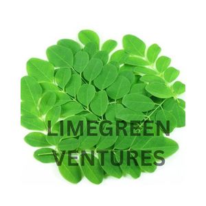 Baquetas de doble lengua Hoja Moringa Oleifera Hoja Moringa Greens Hoja de Moringa orgánica 12 meses Vida útil - Product Image 1