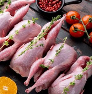 Carcasse de caille fraîche de première qualité, congelée, traitée selon des normes d'hygiène strictes pour les entreprises acheteuses internationales. - Product Image 5