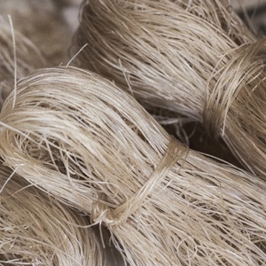 Palitos de Fideos de Seda Secos en Celofán de Un Solo Uso, Prácticos para el Consumo, 200g/250g/500g, Hanoi, Vietnam - Product Image 6