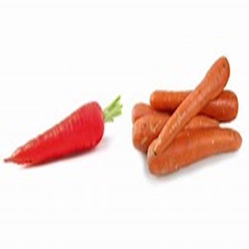 Свежая морковь корневые овощи сладкий вкус и яркий оранжевый цвет доступны по низким ценам